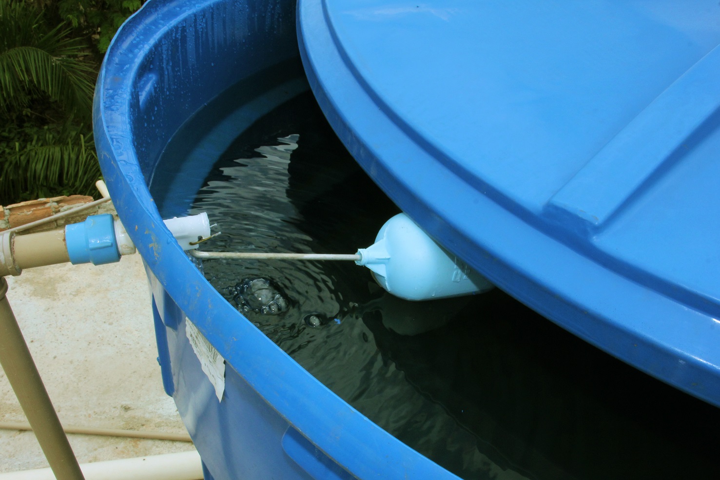 Banda Fogo na Caixa D'Agua